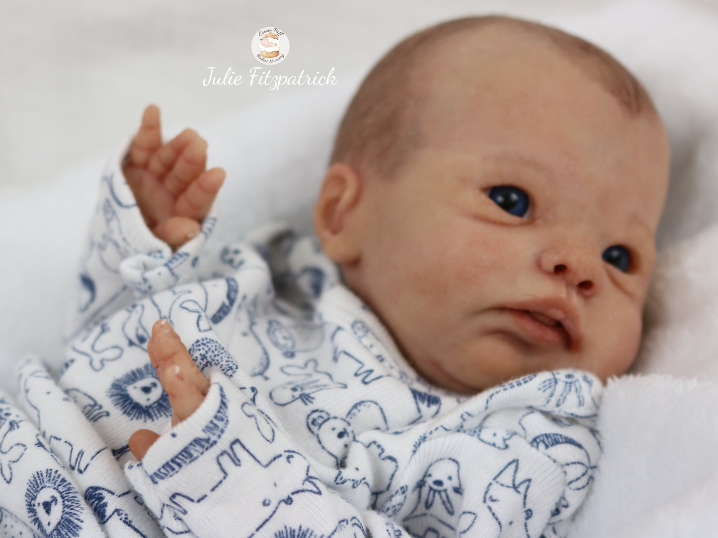 Full Body Silicone Baby Ethan