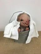 Baby Piggy Doll