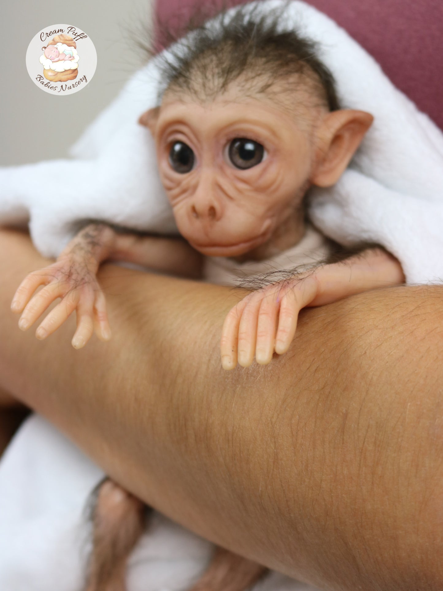 Baby Monkey Maki