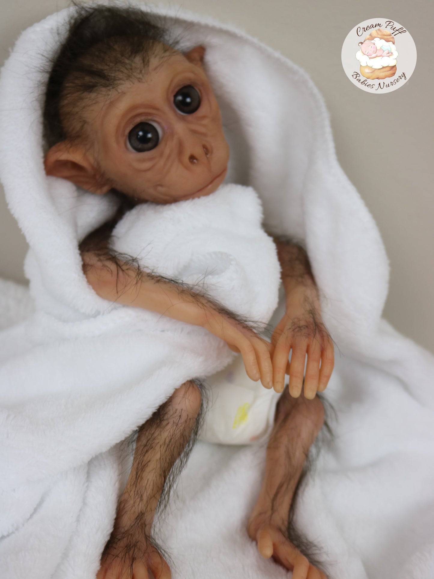 Baby Monkey Maki