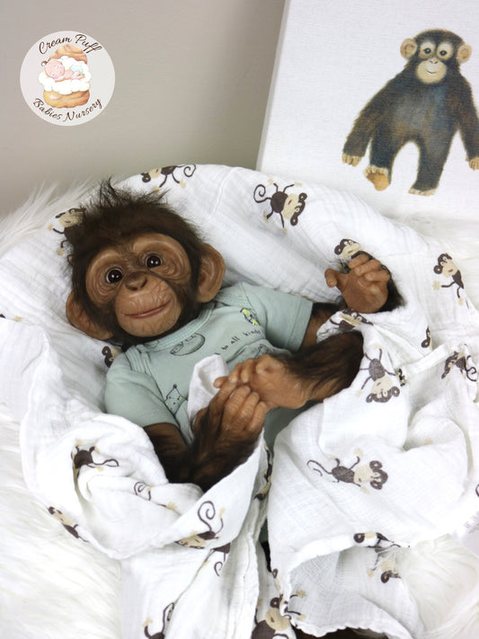 Baby Chimpanzee Clyde