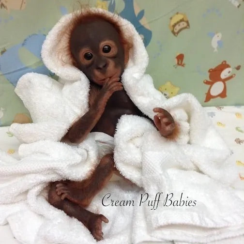 Cream Puff Babies realistic reborn monkey dolls, best reborn doll artist in USA, reborn dolls New York, vinyl reborn dolls, reborn baby orangutan doll, collectible reborn animal dolls, newborn orangutan reborn doll, lifelike baby orangutan doll, best reborn doll animal artist, reborn orangutan baby doll