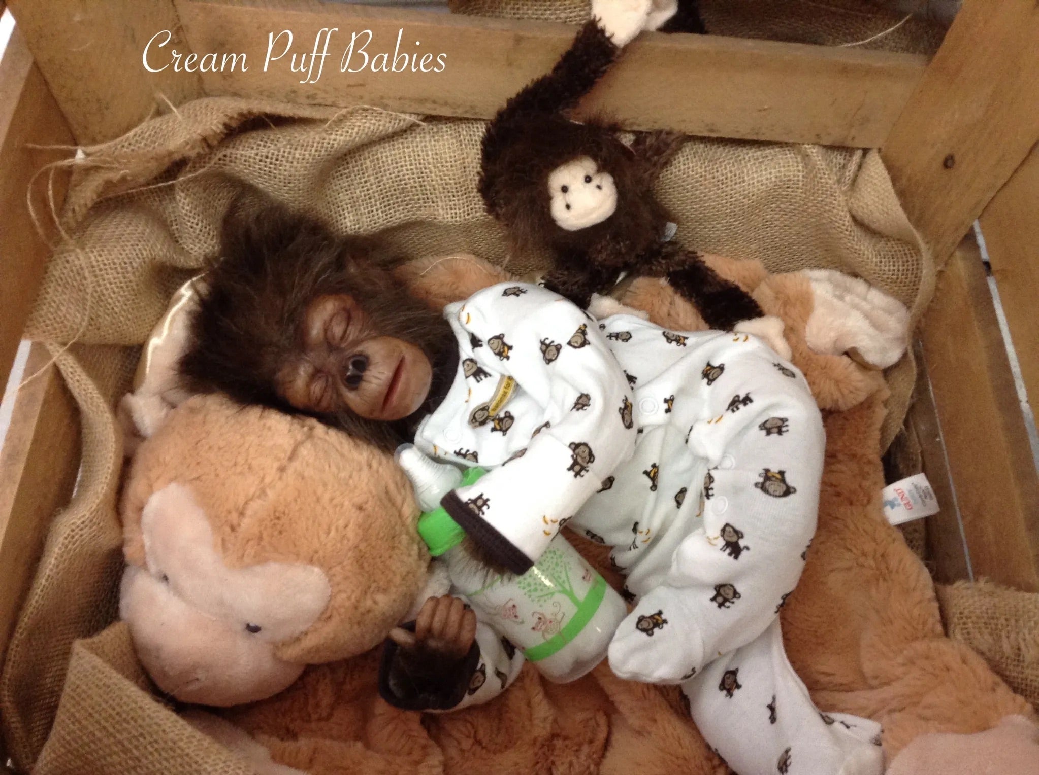 Cream Puff Babies realistic reborn dolls, best reborn doll artist in USA, reborn dolls New York, vinyl reborn dolls, reborn baby monkey doll, collectible gorilla reborn dolls, newborn gorilla reborn doll, lifelike baby chimpanzee doll