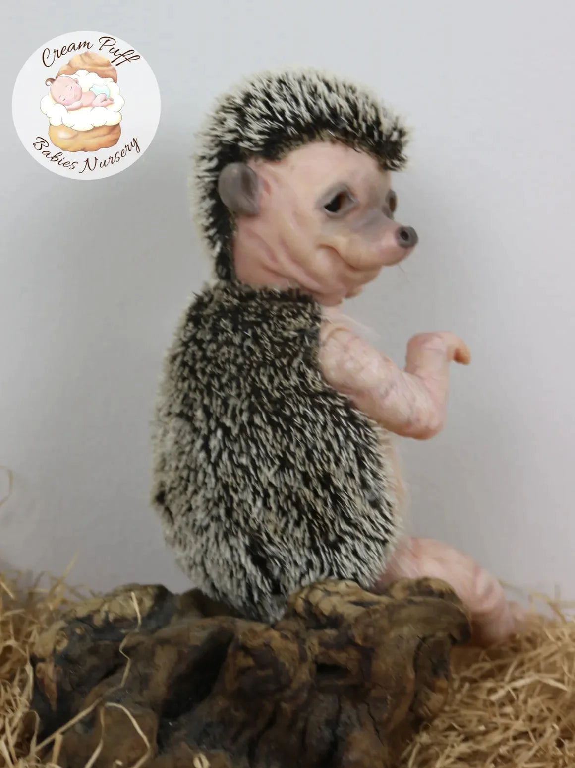 Adoptable Hans the Hedgehog
