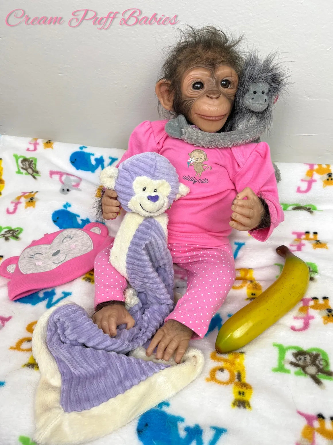 Baby Chimpanzee Bonnie