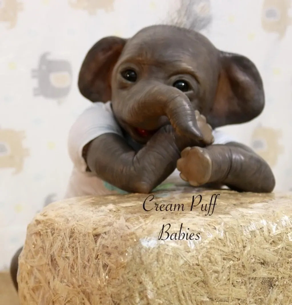 Baby Elephant Dumbo