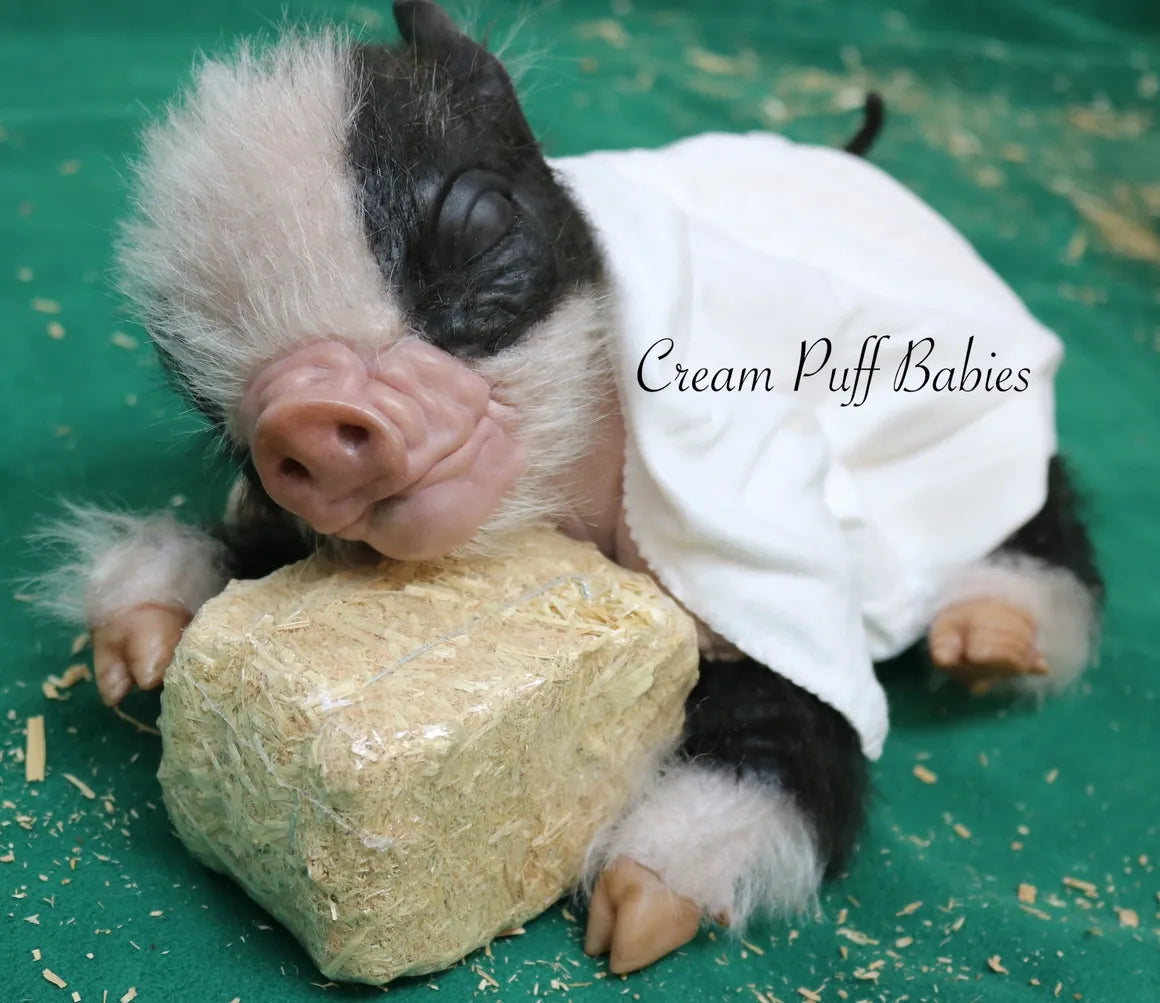 Baby Pig Peppa