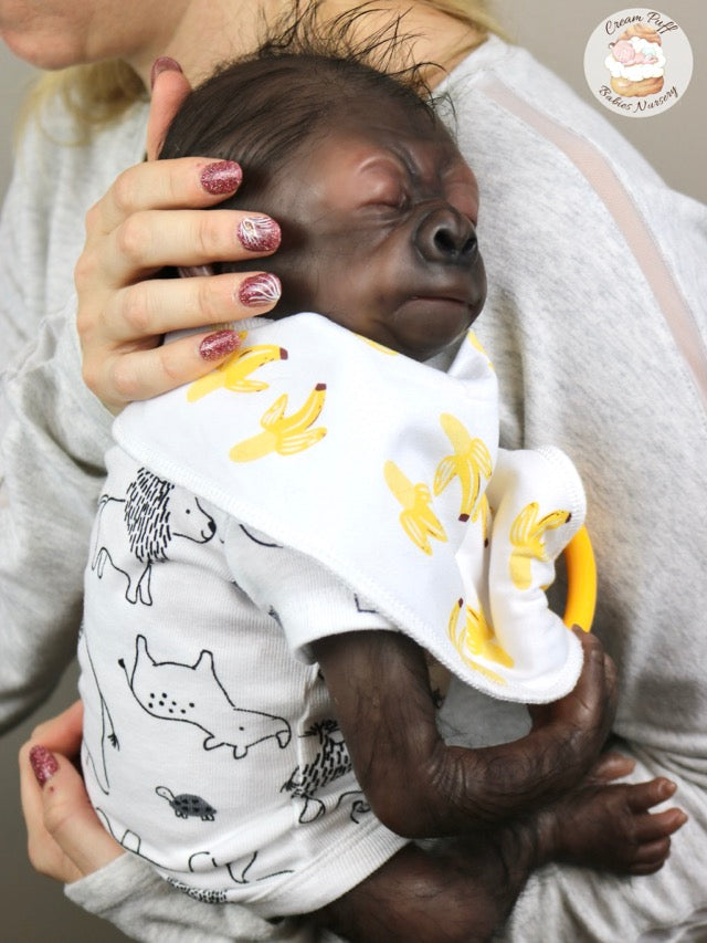 Adoptable Baby Gorilla Kerchak