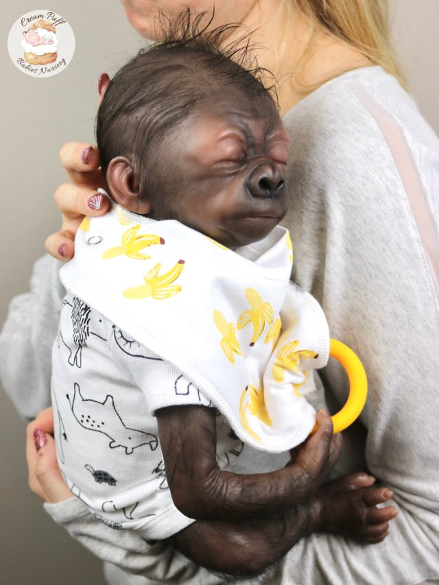 Adoptable Baby Gorilla Kerchak