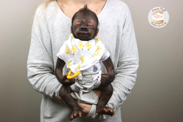 Adoptable Baby Gorilla Kerchak