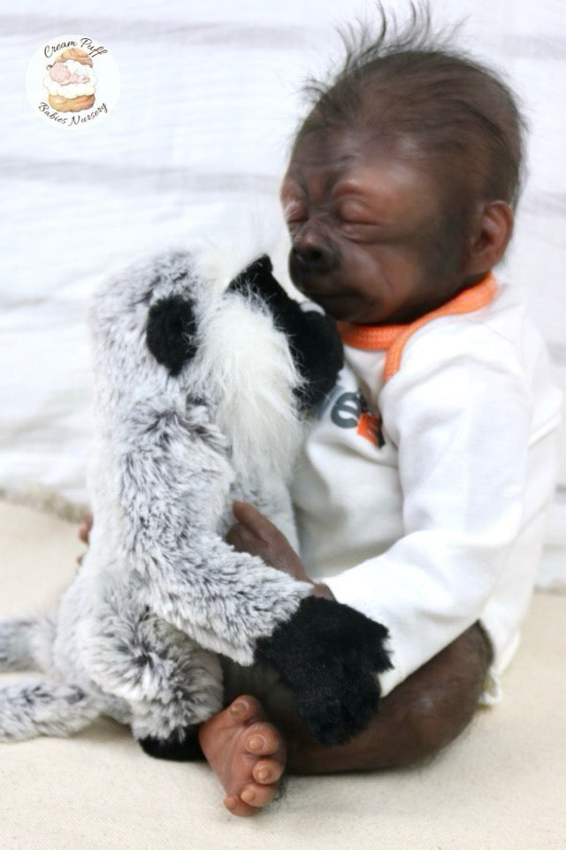 Adoptable Baby Gorilla Kerchak