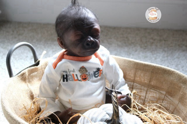 Adoptable Baby Gorilla Kerchak