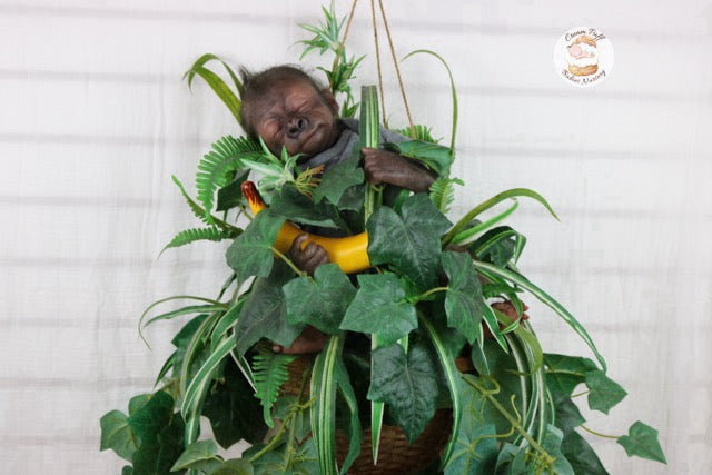 Adoptable Baby Gorilla Kerchak