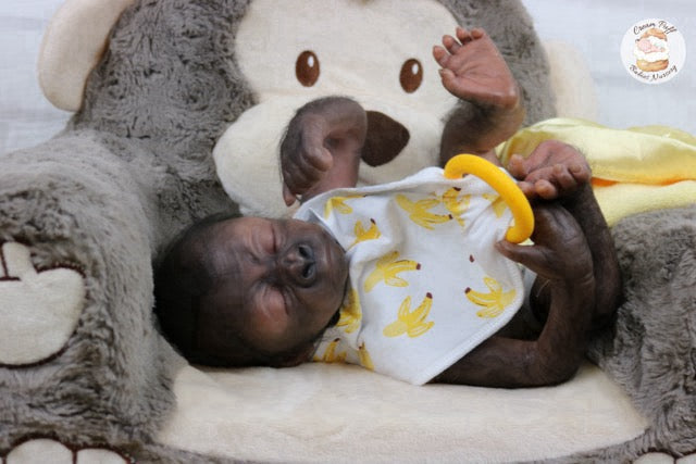 Adoptable Baby Gorilla Kerchak