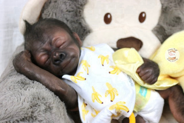 Adoptable Baby Gorilla Kerchak