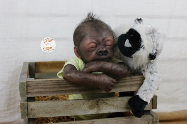 Adoptable Baby Gorilla Kerchak