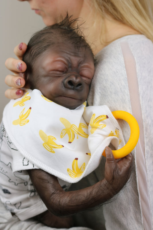 Adoptable Baby Gorilla Kerchak